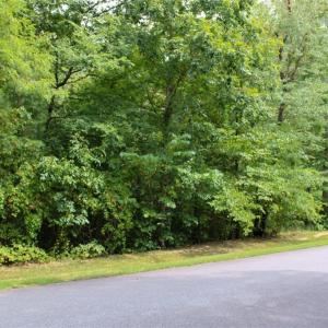 Photo #18 of 238 Bluff, Salisbury, NC 1.1 acres