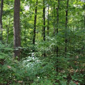 Photo #19 of 238 Bluff, Salisbury, NC 1.1 acres