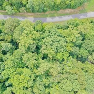 Photo #8 of 238 Bluff, Salisbury, NC 1.1 acres