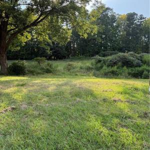 Photo #2 of Turtle Lake, Randleman, NC 0.7 acres