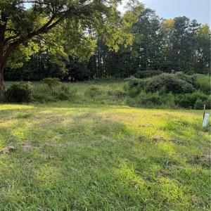 Photo #3 of Turtle Lake, Randleman, NC 0.7 acres