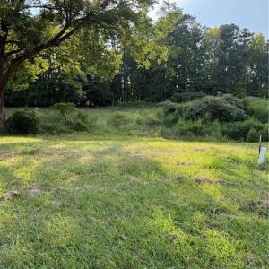 Photo #1 of Turtle Lake, Randleman, NC 0.7 acres