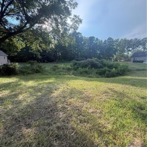 Photo #4 of Turtle Lake, Randleman, NC 0.7 acres
