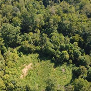Photo #2 of Palisade, Pfafftown, NC 13.1 acres