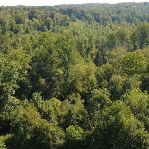 Photo #6 of Palisade, Pfafftown, NC 13.1 acres