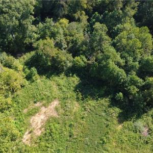 Photo #7 of Palisade, Pfafftown, NC 13.1 acres