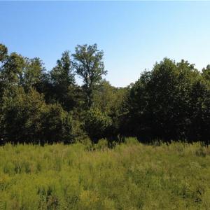 Photo #9 of Palisade, Pfafftown, NC 13.1 acres