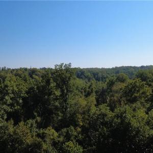 Photo #8 of Palisade, Pfafftown, NC 13.1 acres