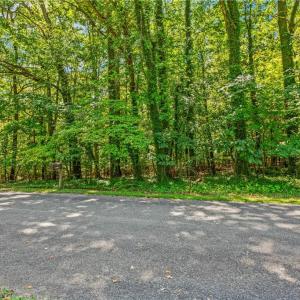 Photo #2 of Alma, Winston-Salem, NC 3.6 acres