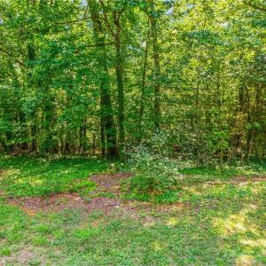 Photo #9 of Alma, Winston-Salem, NC 3.6 acres