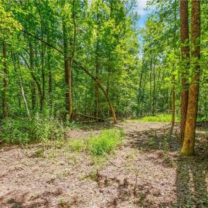 Photo #10 of Alma, Winston-Salem, NC 3.6 acres