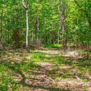 Photo #8 of Alma, Winston-Salem, NC 3.6 acres