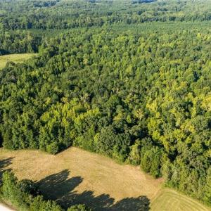 Photo #16 of Old Bradshaw, Salisbury, NC 27.7 acres