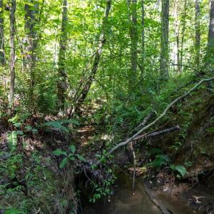 Creek on property