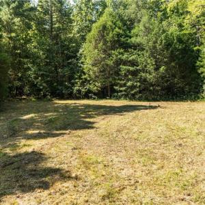 Second open area towards the rear of the property