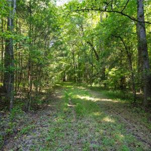 Photo #11 of Old Bradshaw, Salisbury, NC 27.7 acres