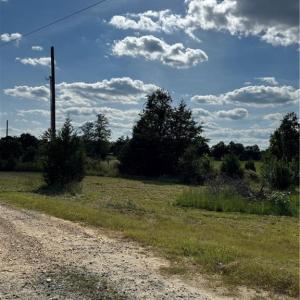 Photo #2 of 4415 Alamance Church, Liberty, NC 18.5 acres