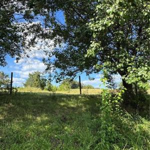 Photo #3 of 4415 Alamance Church, Liberty, NC 18.5 acres