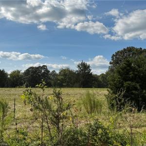 Photo #1 of 4415 Alamance Church, Liberty, NC 18.5 acres