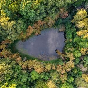 Photo #7 of 4415 Alamance Church, Liberty, NC 18.5 acres