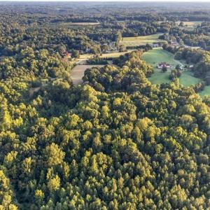 Photo #10 of 4415 Alamance Church, Liberty, NC 18.5 acres