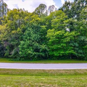 Photo #11 of 7335 Hidden View, Oak Ridge, NC 5.5 acres
