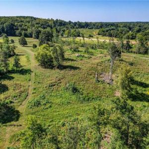 Photo #13 of 1155 Chumney, Eden, NC 40.0 acres