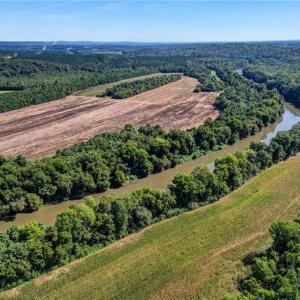 Photo #17 of 1155 Chumney, Eden, NC 40.0 acres
