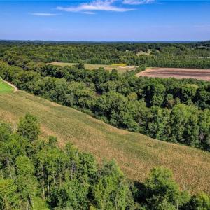 Photo #16 of 1155 Chumney, Eden, NC 40.0 acres