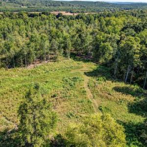 Photo #12 of 1155 Chumney, Eden, NC 40.0 acres