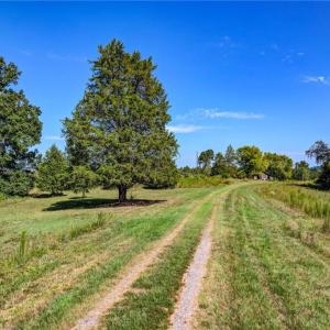 Photo #7 of 1155 Chumney, Eden, NC 40.0 acres