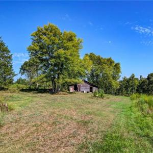 Photo #9 of 1155 Chumney, Eden, NC 40.0 acres
