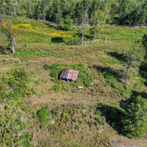 Photo #10 of 1155 Chumney, Eden, NC 40.0 acres