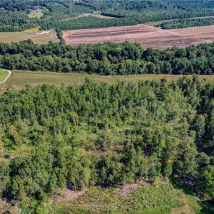 Photo #15 of 1155 Chumney, Eden, NC 40.0 acres
