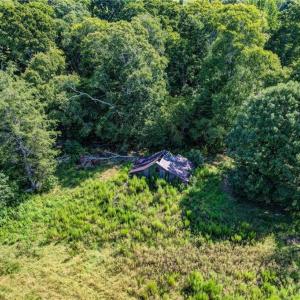 Photo #11 of 1155 Chumney, Eden, NC 40.0 acres