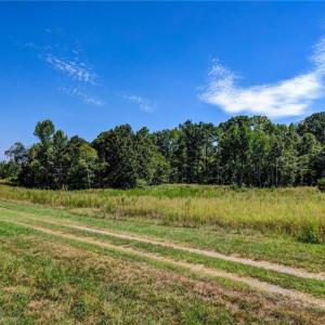 Photo #8 of 1155 Chumney, Eden, NC 40.0 acres