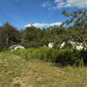 Photo #2 of 4419 Alamance Church, Liberty, NC 15.5 acres