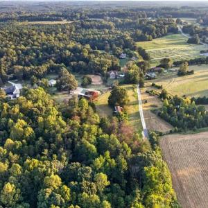 Photo #12 of 4419 Alamance Church, Liberty, NC 15.5 acres