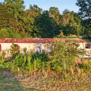 Photo #5 of 4419 Alamance Church, Liberty, NC 15.5 acres