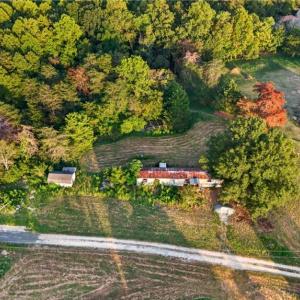 Photo #14 of 4419 Alamance Church, Liberty, NC 15.5 acres