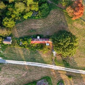 Photo #8 of 4419 Alamance Church, Liberty, NC 15.5 acres