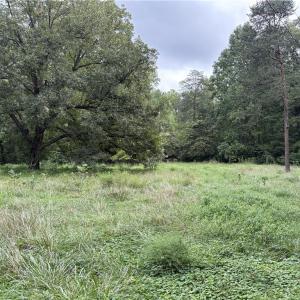 Photo #16 of 3504 Martin, Greensboro, NC 6.1 acres