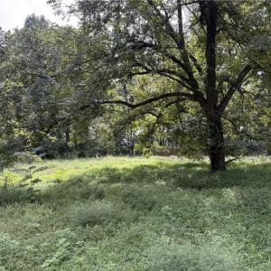 Photo #18 of 3504 Martin, Greensboro, NC 6.1 acres