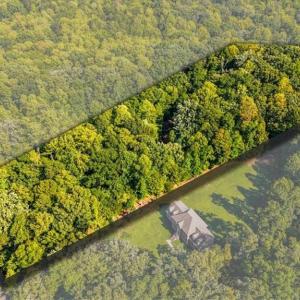 Photo #4 of 1786 Kalon, Browns Summit, NC 2.4 acres