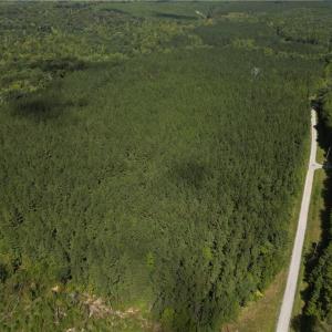 Photo #2 of Chapel Hill Church, Denton, NC 94.6 acres
