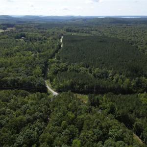 Photo #6 of Chapel Hill Church, Denton, NC 94.6 acres