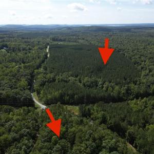 Arrows indicate land on either side of S Chapel Hill Church Rd