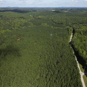 Photo #9 of Chapel Hill Church, Denton, NC 94.6 acres