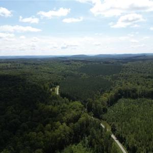 Photo #10 of Chapel Hill Church, Denton, NC 94.6 acres