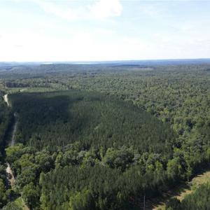 Photo #11 of Chapel Hill Church, Denton, NC 94.6 acres